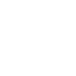 WhoCares? geïntegreerde zorg en welzijn experts